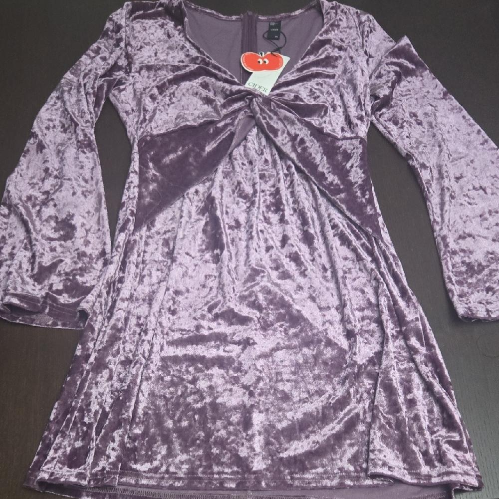 Cider Velvet Long Sleeve Dress in Purple